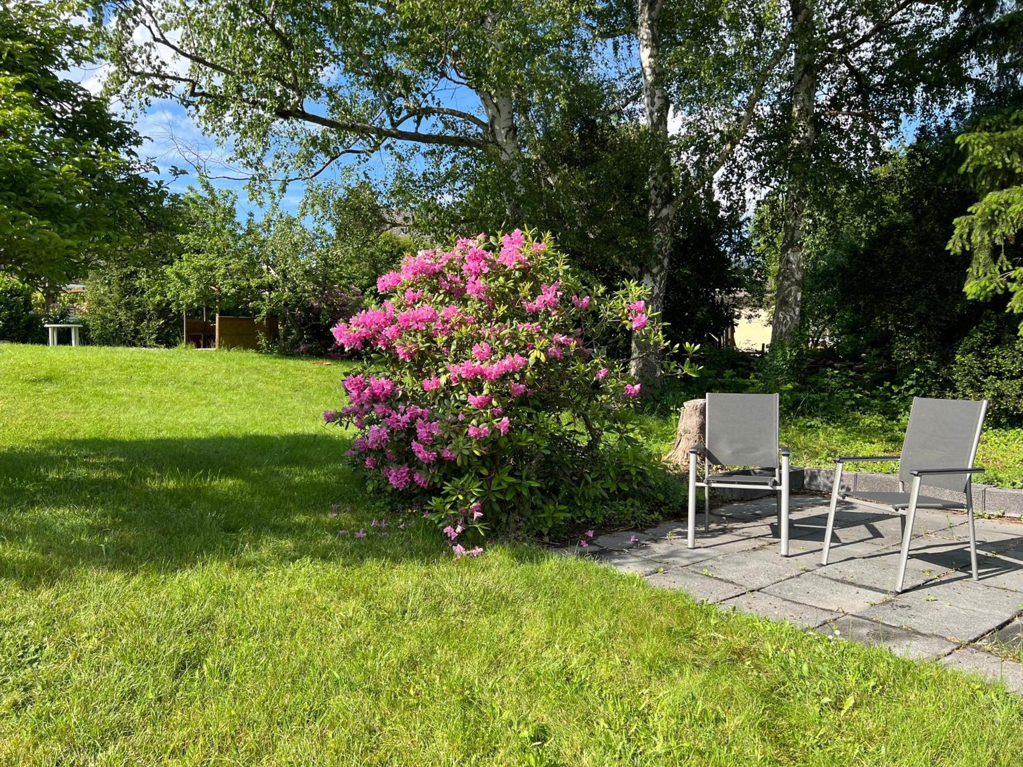 Ferienwohnung Malk Traben-Trarbach Rum bild