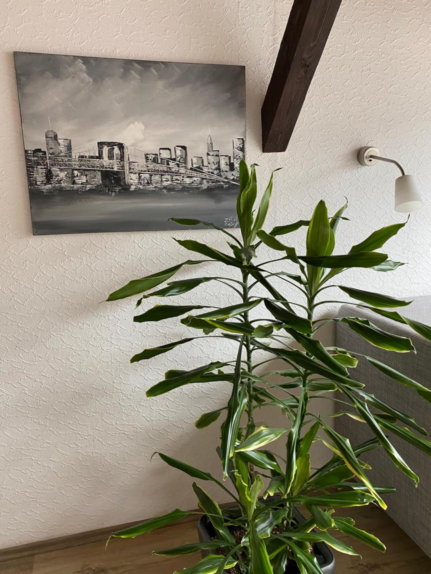 Ferienwohnung Malk Traben-Trarbach Exteriör bild